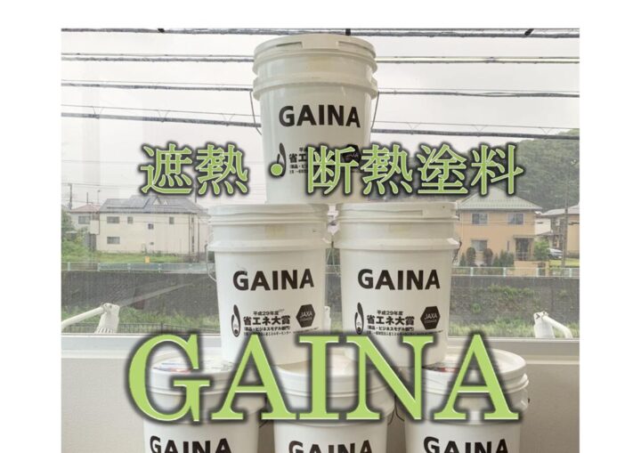 GAINAのサムネイル