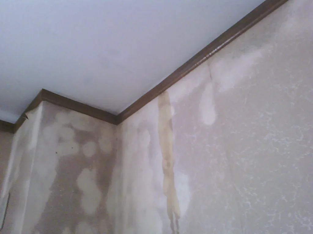 雨漏りによる壁紙のシミ・カビ